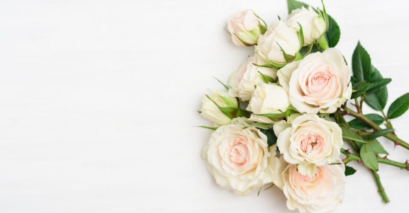 Kimppu vaaleita ruusuja